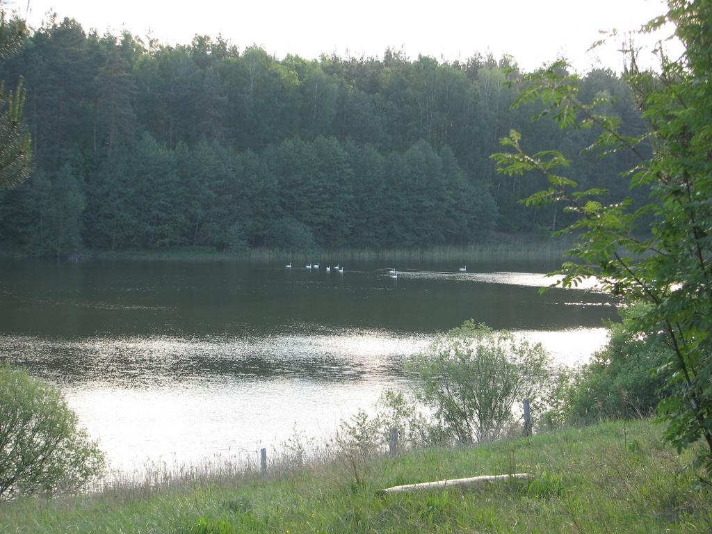 Za Piecem Villa Guzowy Piec Kültér fotó